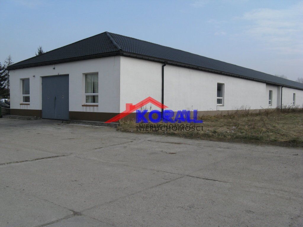 Lokal użytkowy na wynajem Wrocław, Krzyki, Buforowa 550m2 Foto 1 Lokal użytkowy na wynajem Wrocław, Krzyki, Buforowa 550m2 Foto 1