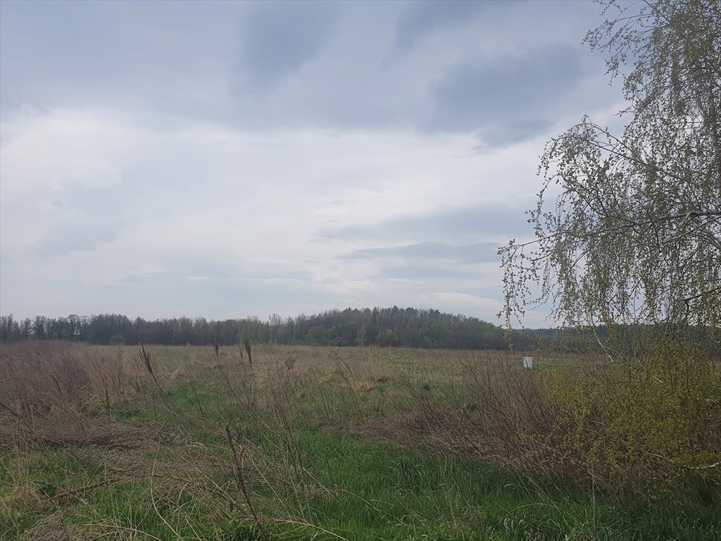 Zdjęcie 5