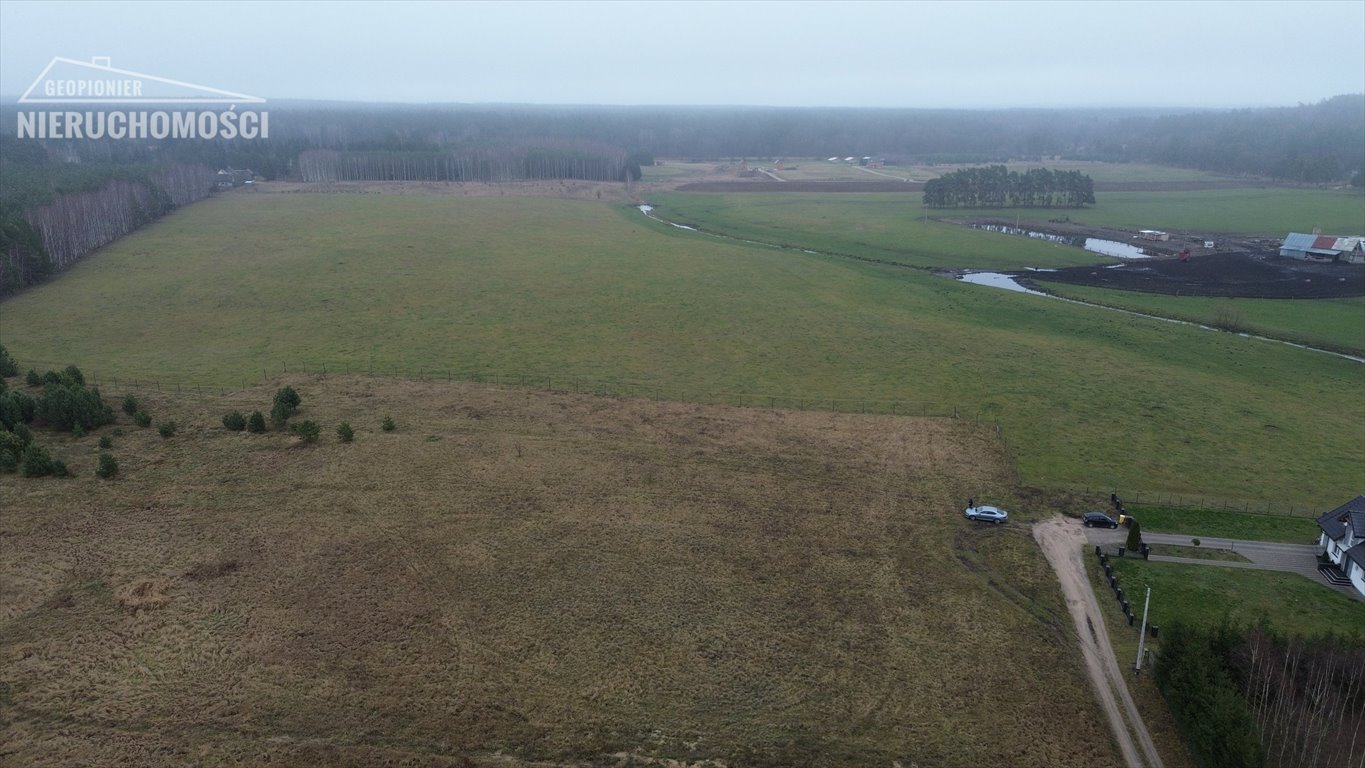 Działka budowlana na sprzedaż Liwa, Liwa  1 176m2 Foto 4