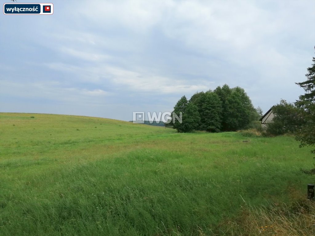 Dom na sprzedaż Golubie Wężewskie  135m2 Foto 9