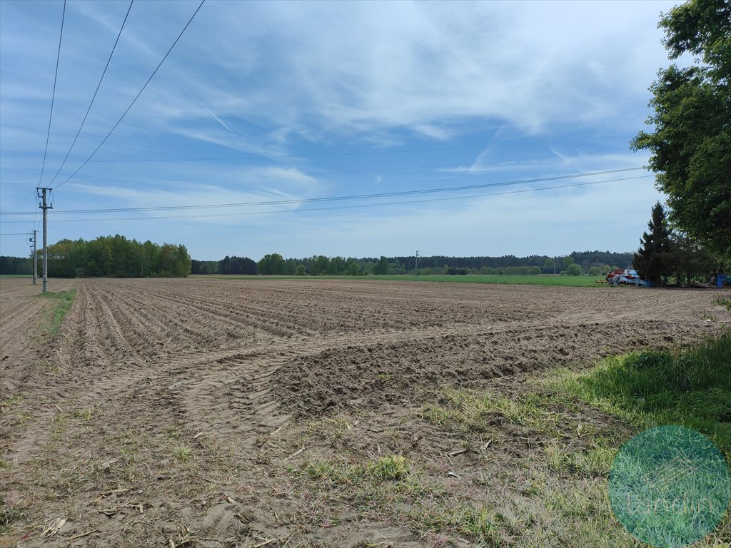 Działka budowlana na sprzedaż Bartków  4 168m2 Foto 1