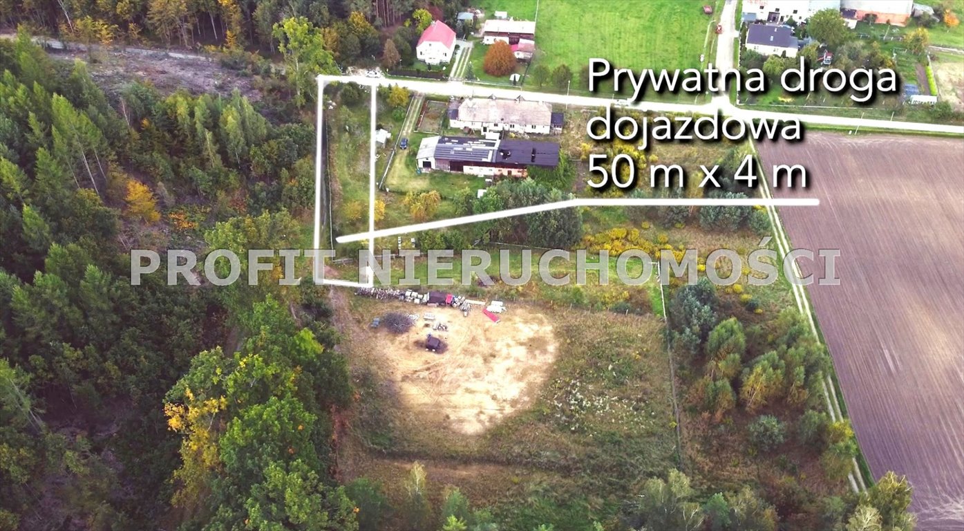 Działka rolna na sprzedaż Nowa Wieś Lęborska  3 974m2 Foto 4