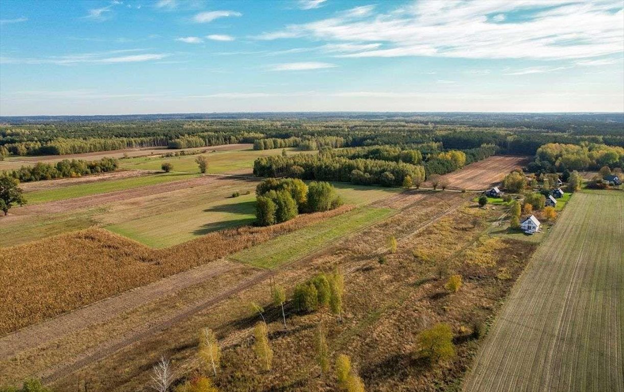 Działka budowlana na sprzedaż Krajęczyn  1 200m2 Foto 11