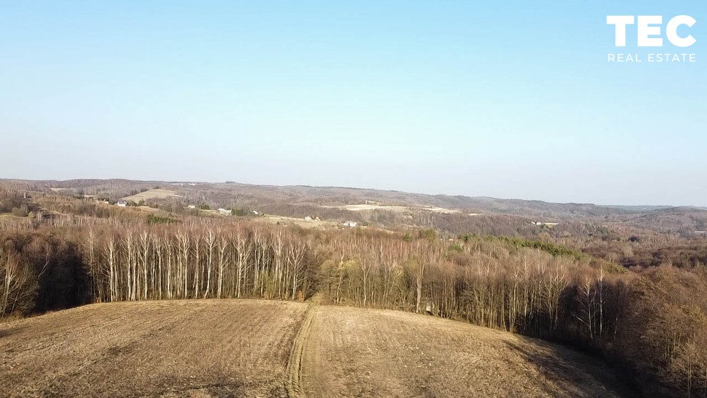 Sprzedam atrakcyjne działki rolno-leśne od 400 zł/ar w Kosztowej Kosztowa  8 400m2 Foto 1