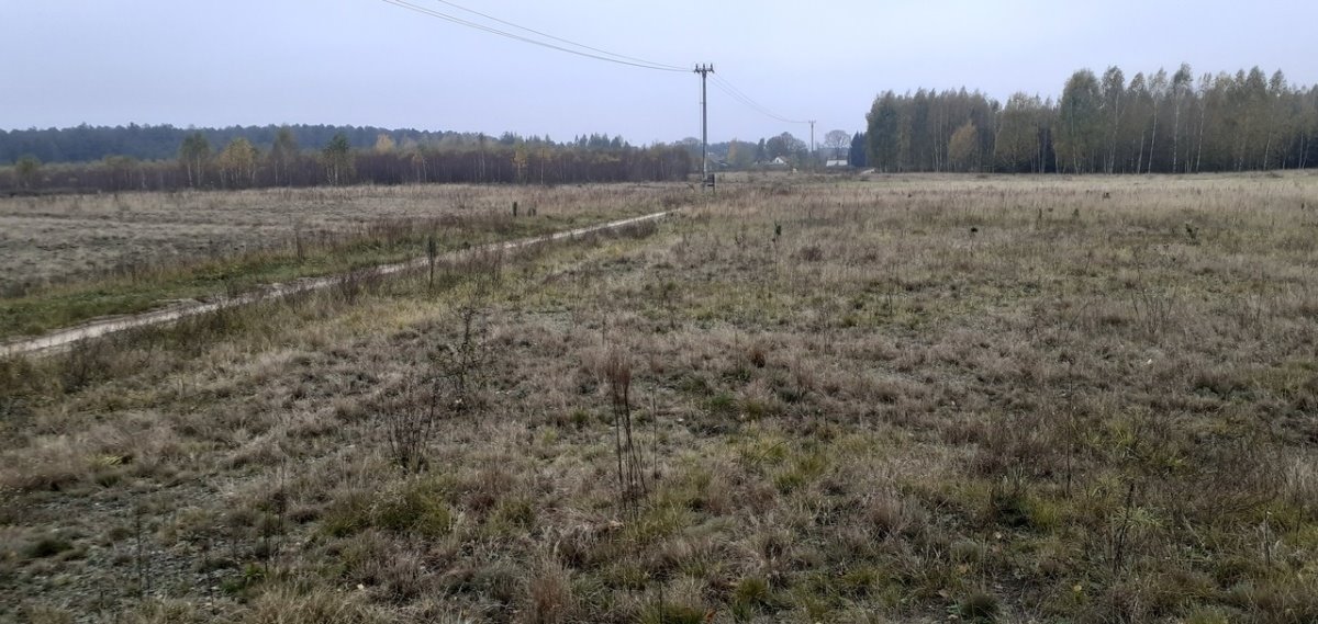 Działka budowlana na sprzedaż Pisz  1 527m2 Foto 3