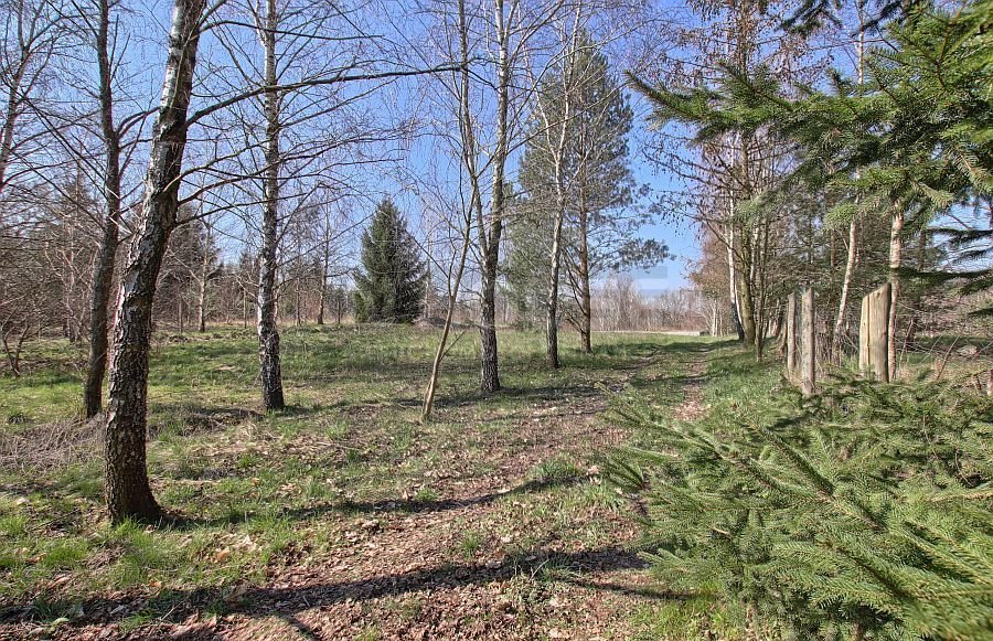 Działka budowlana na sprzedaż Rydzewo  4 184m2 Foto 20