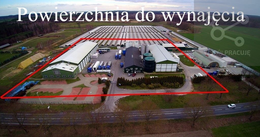 Lokal użytkowy na wynajem Gorzów Wielkopolski, okolice 1 940m2 Foto 1 Lokal użytkowy na wynajem Gorzów Wielkopolski, okolice 1 940m2 Foto 1
