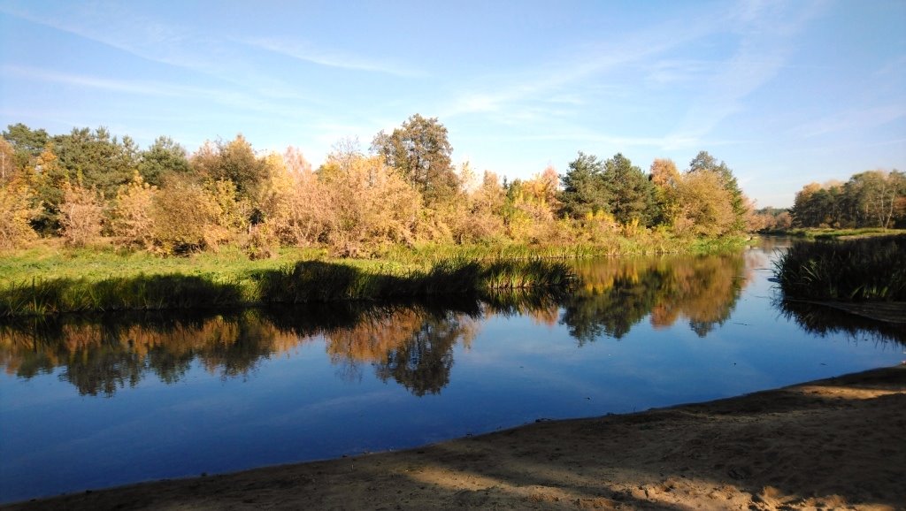 Działka budowlana na sprzedaż Popielżyn-Zawady  4 828m2 Foto 8