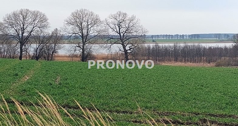 Działka inna na sprzedaż Łuskowo  13 800m2 Foto 6