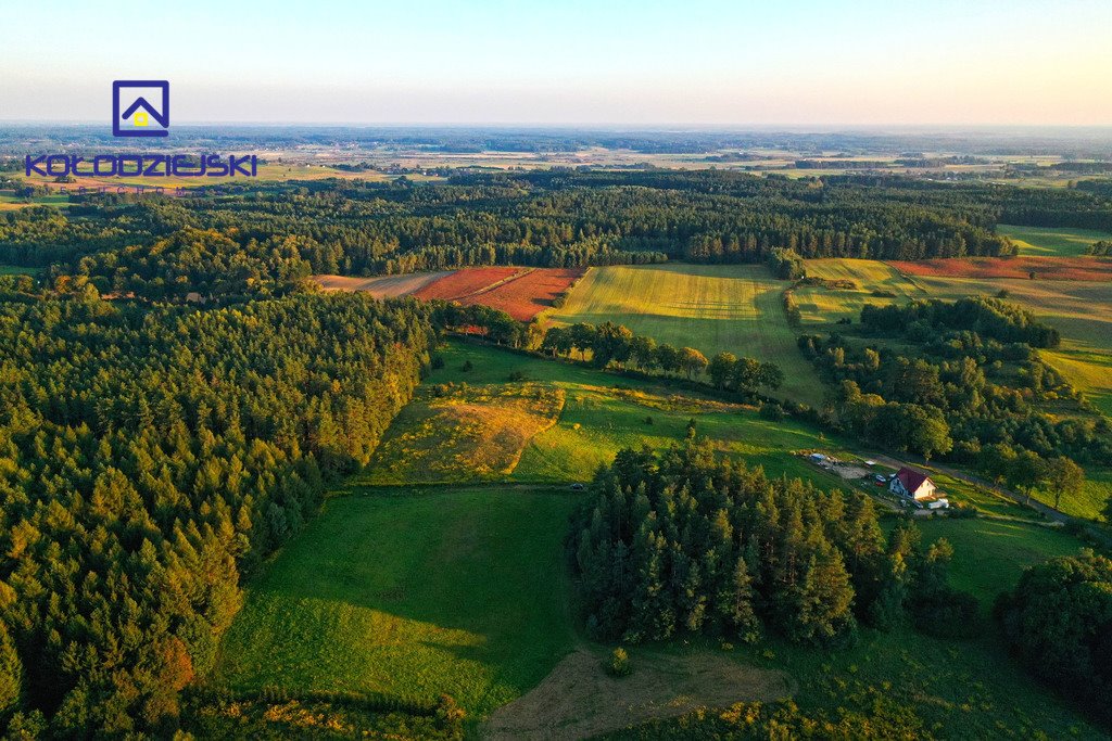 Działka rolna na sprzedaż Pupki  3 009m2 Foto 7