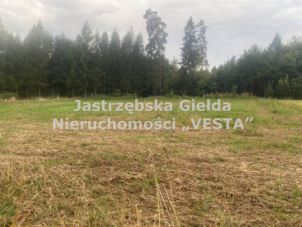 Działka budowlana na sprzedaż Zebrzydowice Dolne  2 271m2 Foto 2