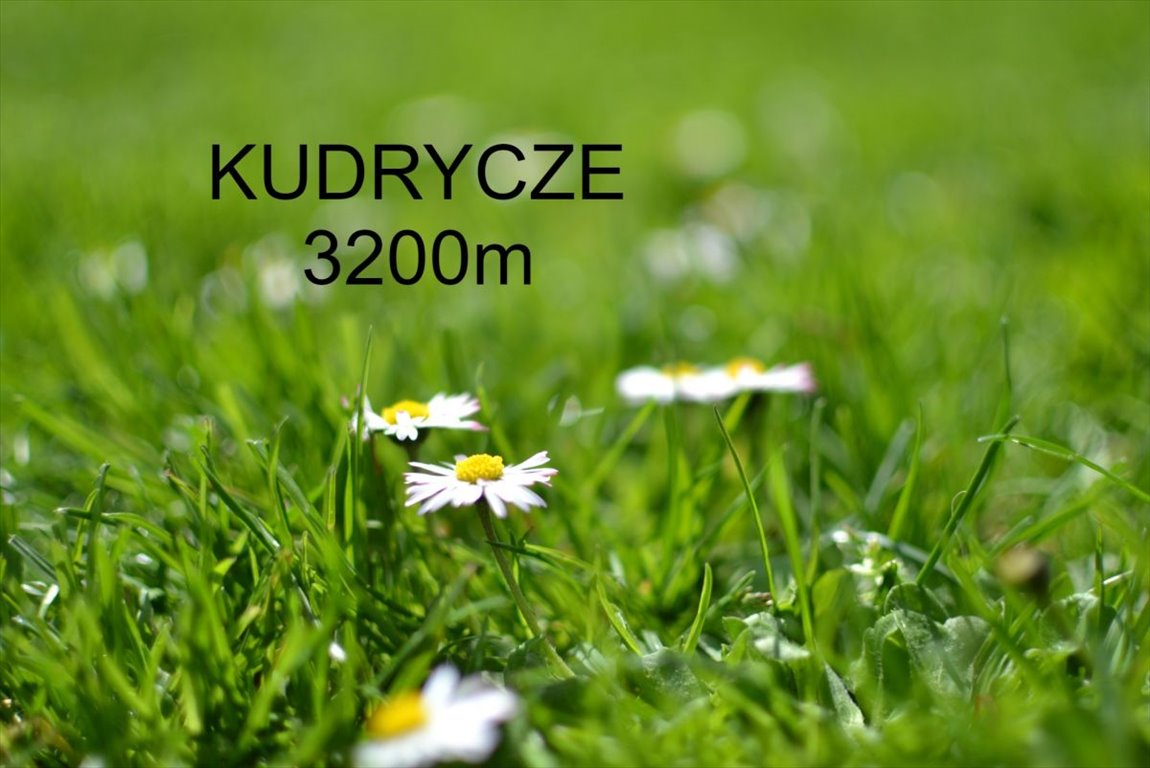 Działka siedliskowa na sprzedaż Kudrycze  3 200m2 Foto 1