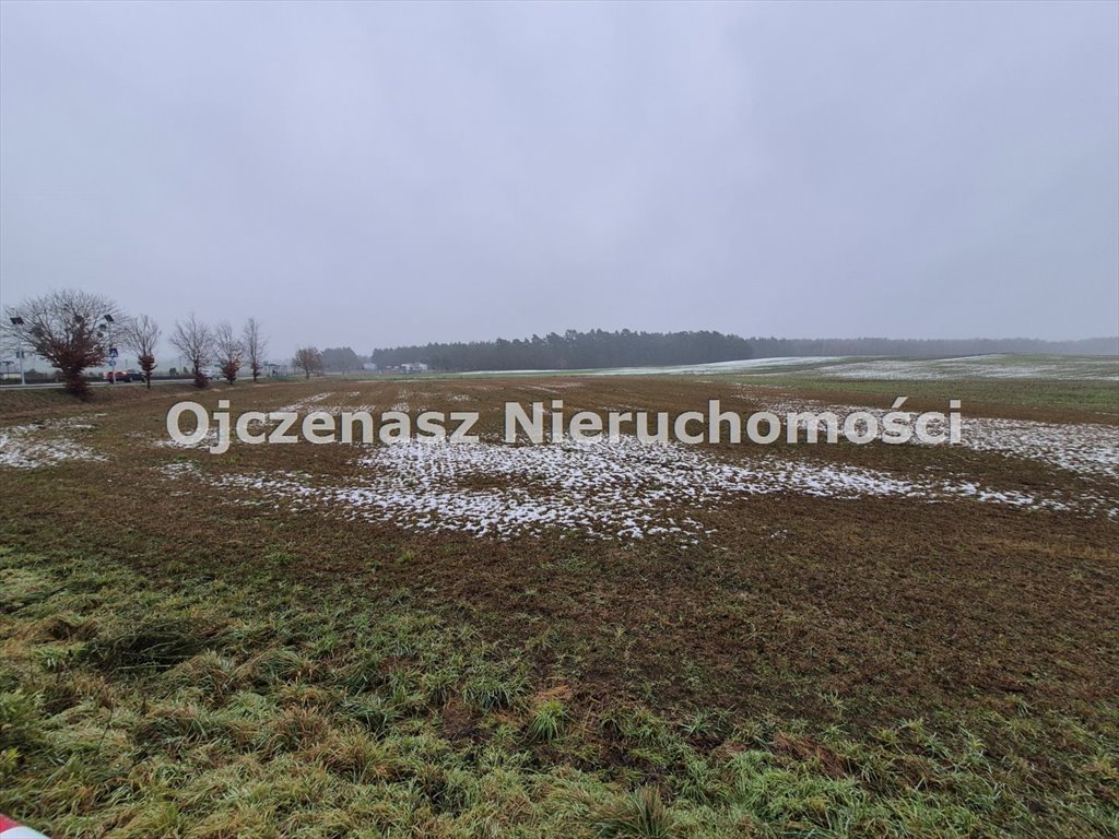 Teren inwestycyjny 1,8 ha z warunkami zabudowy w Osówcu Osówiec  18 048m2 Foto 1