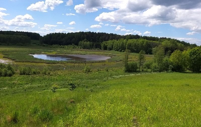 Działka rolna na sprzedaż Nowosady  22 800m2 Foto 9