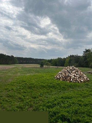 Działka rolna na sprzedaż Wierzbinek  103 000m2 Foto 6