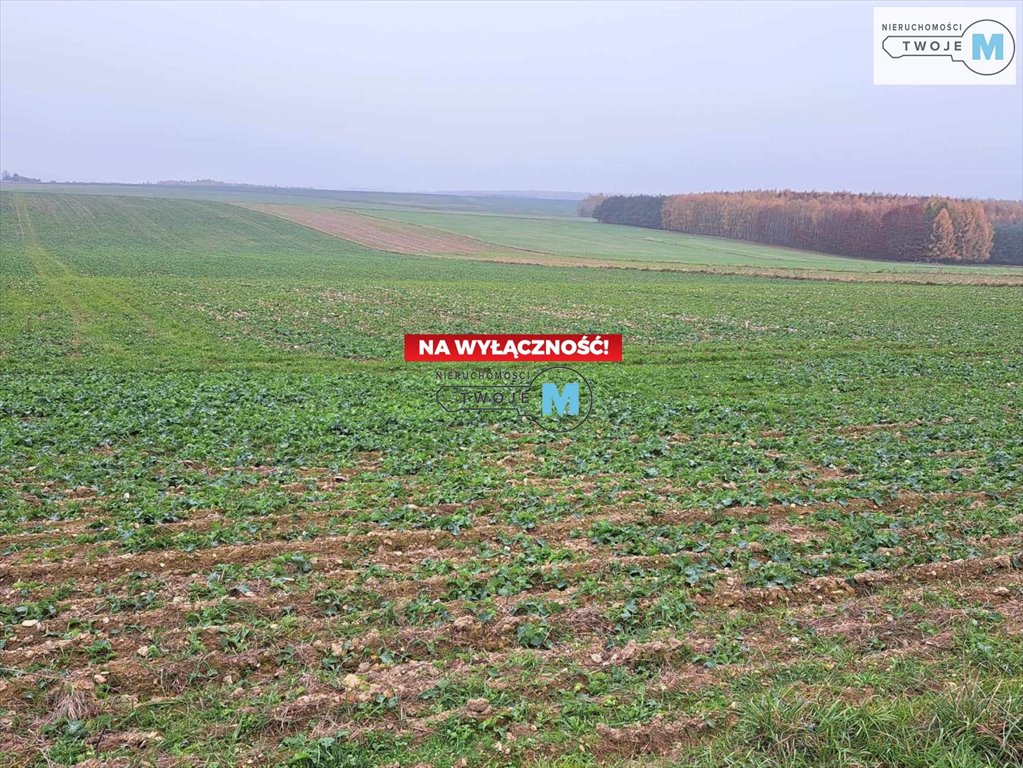 Działka inna na sprzedaż Chęciny, Lelusin, Wojkowiec  9 900m2 Foto 16