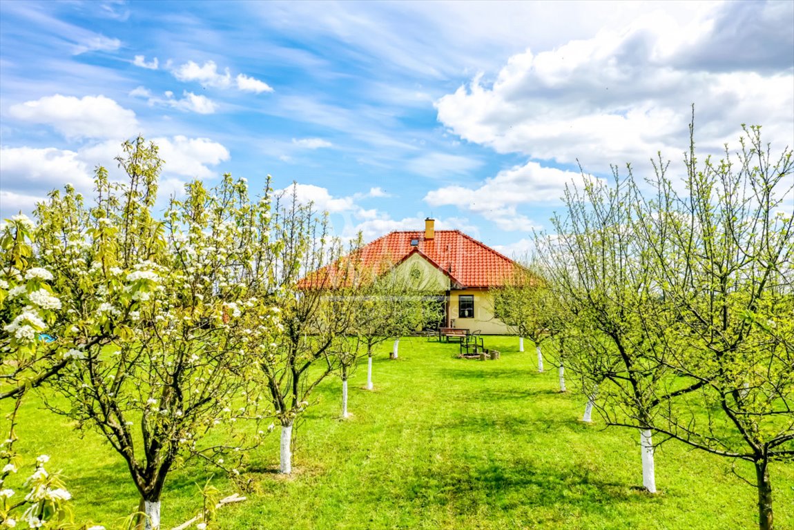 Dom na sprzedaż Kwidzyn  150m2 Foto 3