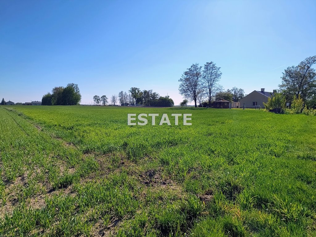 Polecam działkę 1168 m² z MPZP, media, blisko Ozorkowa Ozorków, Małachowice Kolonia  1 168m2 Foto 1