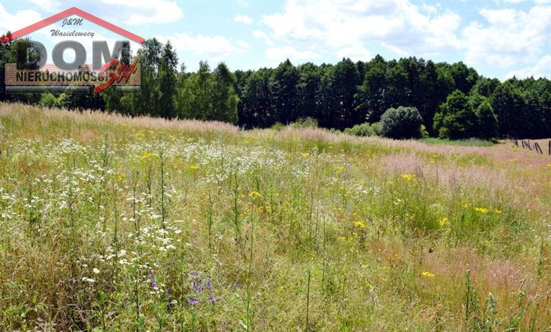 Działka inna na sprzedaż Gudowo  15 600m2 Foto 10