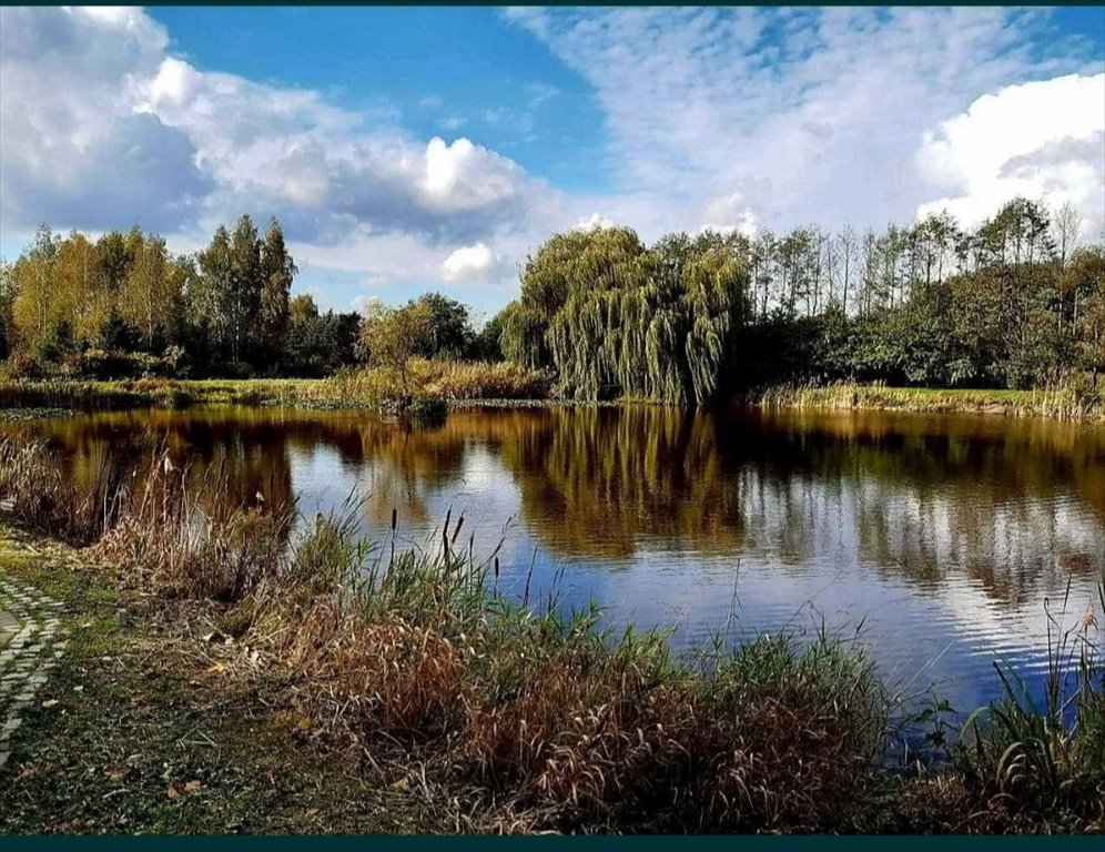 Działka budowlana na sprzedaż Łódź, Widzew, Nowosolna, Grabińska 29  970m2 Foto 5