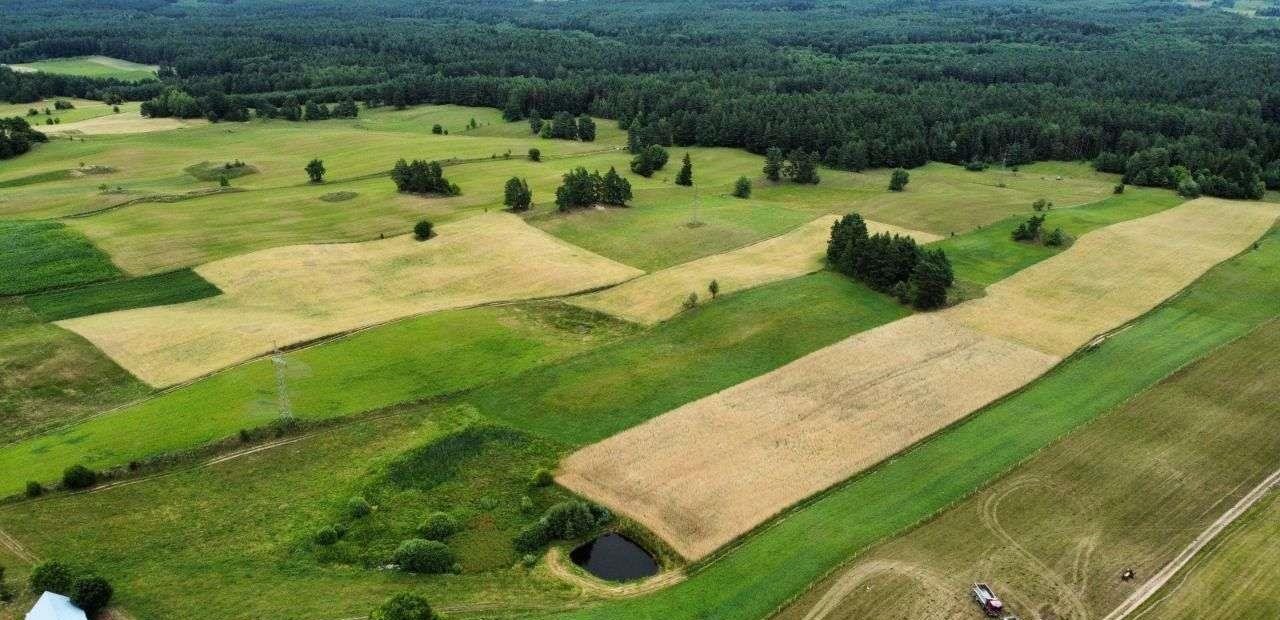 Działka rolna na sprzedaż Suwałki  5 600m2 Foto 8