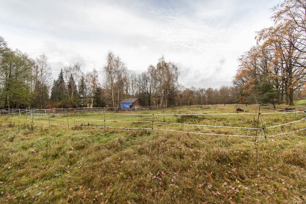 Duża płaska działka 1,34 ha z lasem i podziałem Drzeniów  13 134m2 Foto 1