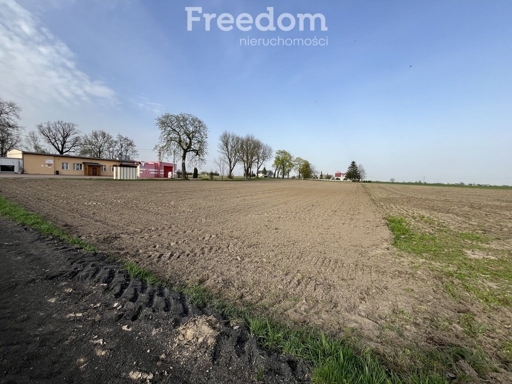 Działka budowlana na sprzedaż Dębiny, Pałacowa  3 044m2 Foto 3