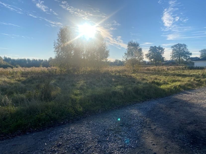 Działka budowlana na sprzedaż Zduńska Wola, Swędzieniejewice  1 131m2 Foto 2