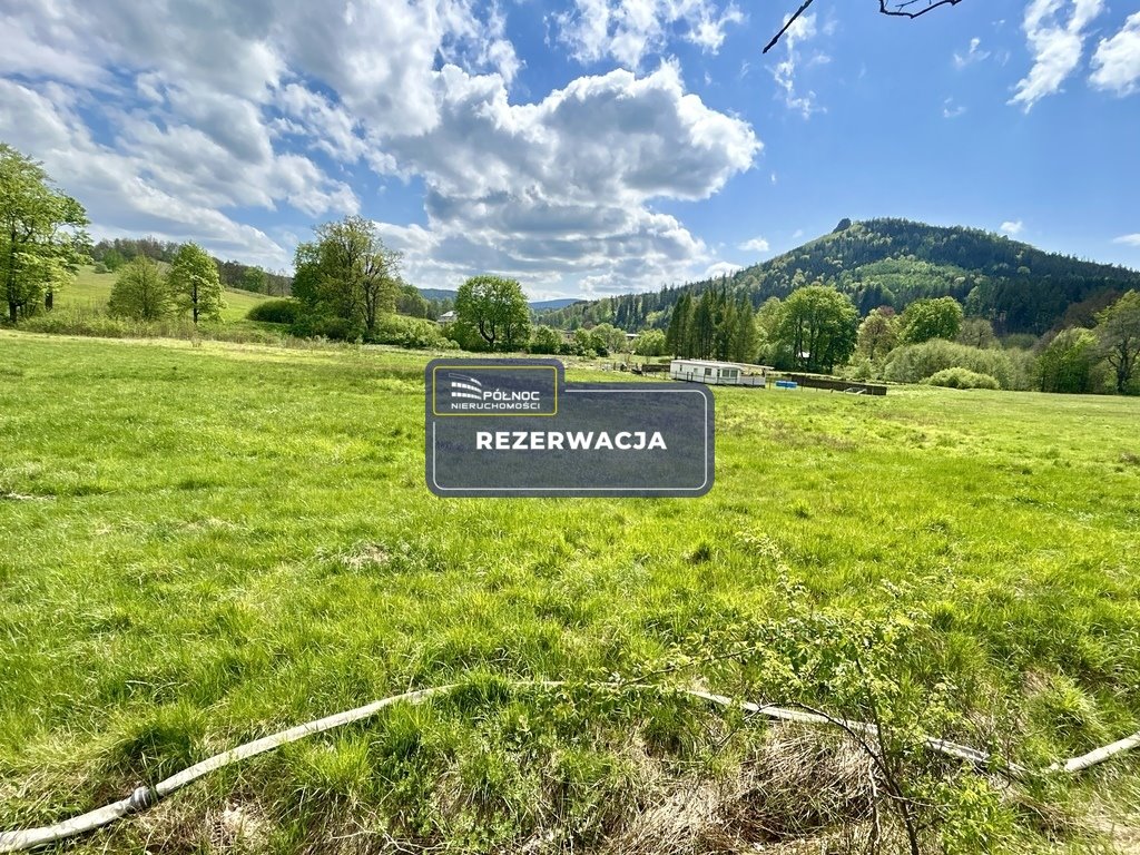 Działka budowlana na sprzedaż Trzcińsko  3 000m2 Foto 1