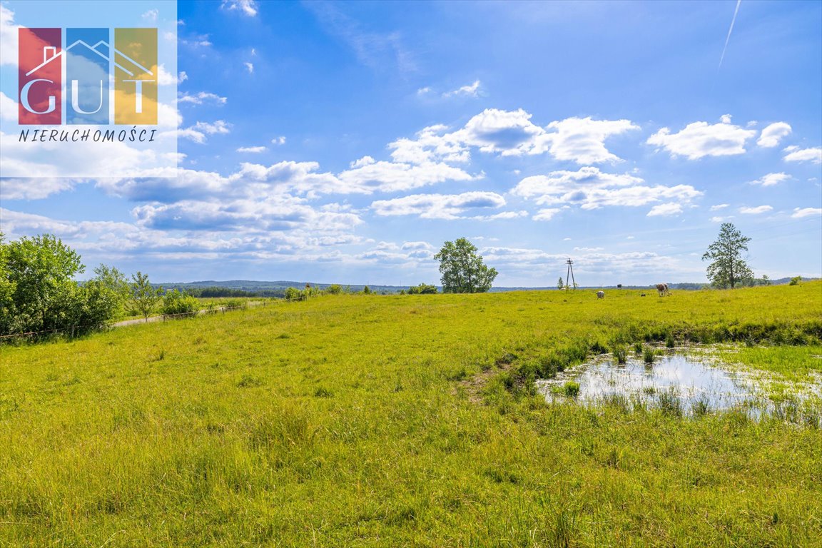 Działka rolna na sprzedaż Blanki  47 100m2 Foto 11