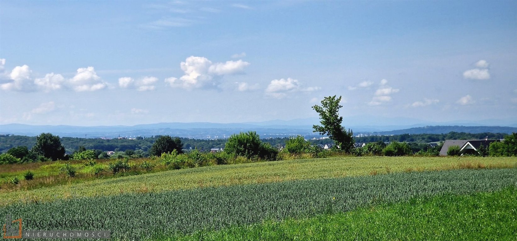 Działka budowlana na sprzedaż Bibice  17 440m2 Foto 1