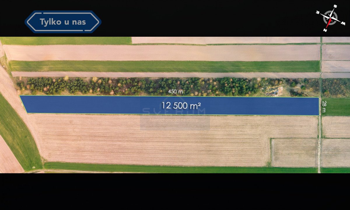 Działka rolna na sprzedaż Rogi  12 500m2 Foto 3