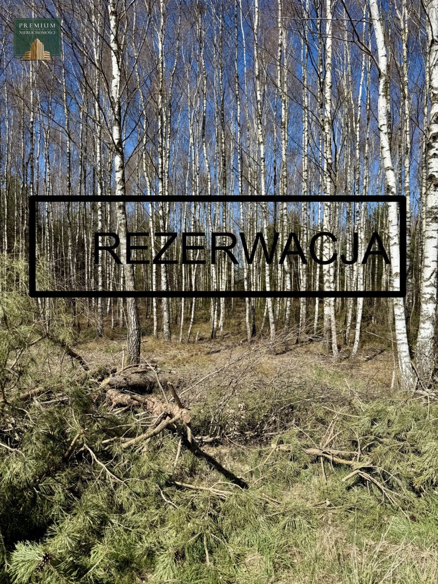 Duża działka rolna 1,57 ha z dojazdem asfaltowym (Anusin) Anusin  15 700m2 Foto 1