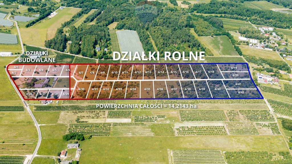 Działka rolna na sprzedaż Nowina-Przęsławice  3 818m2 Foto 7