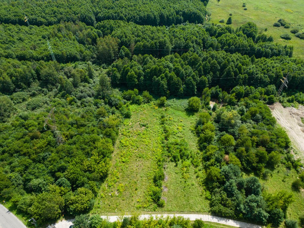 Działka rolna na sprzedaż Ostrowiec Świętokrzyski, Wschodnia  2 945m2 Foto 5