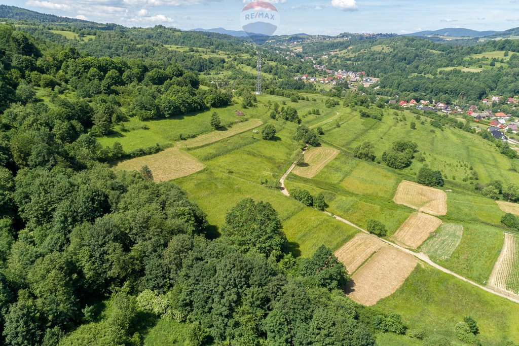 Działka rolna na sprzedaż Tenczyn  3 280m2 Foto 5