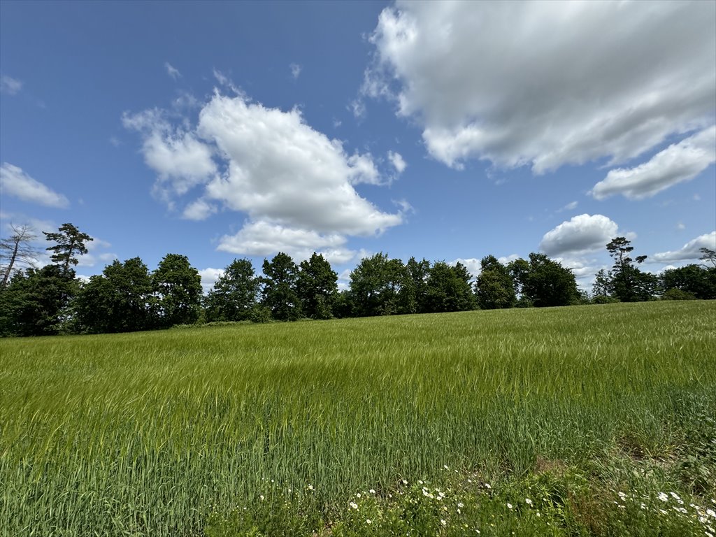 Działka 1500 m² pod dom z widokiem na las, blisko Chojnic Nowa Cerkiew  1 500m2 Foto 1