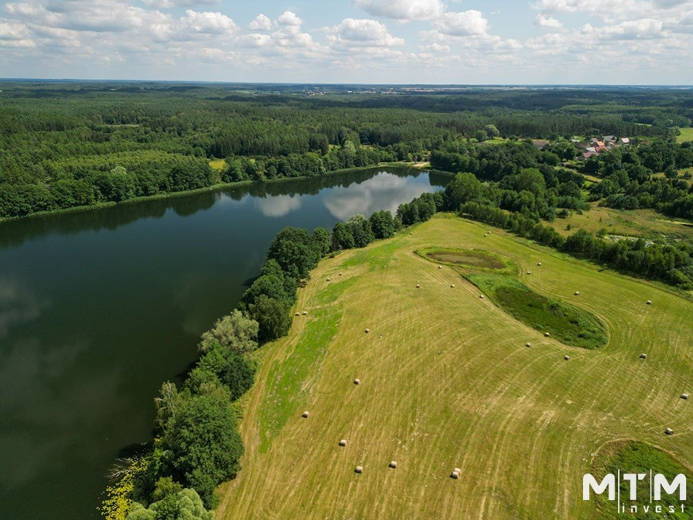 Działka rolna na sprzedaż Dolice  3 003m2 Foto 5