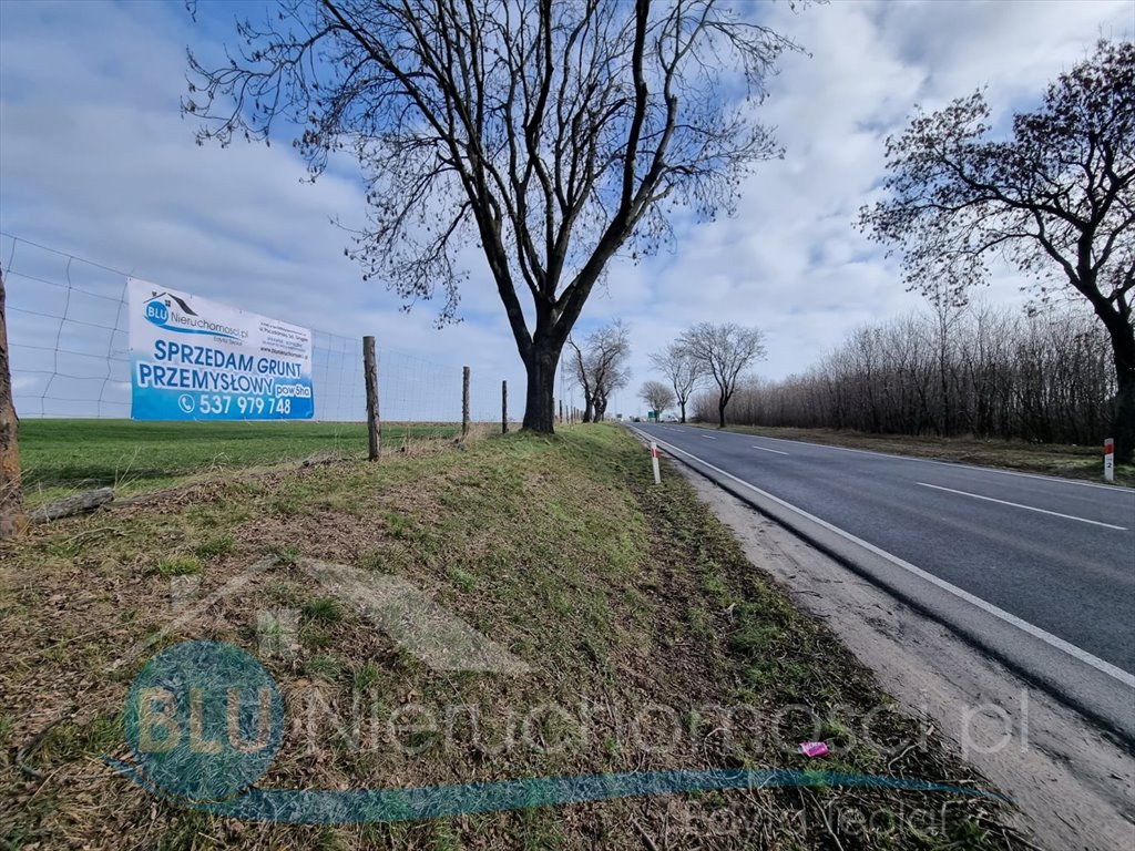 Działka komercyjna na sprzedaż Ruszowice  50 100m2 Foto 2