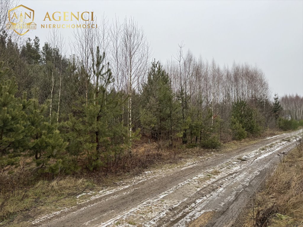 Działka budowlana na sprzedaż Karakule  1 000m2 Foto 1