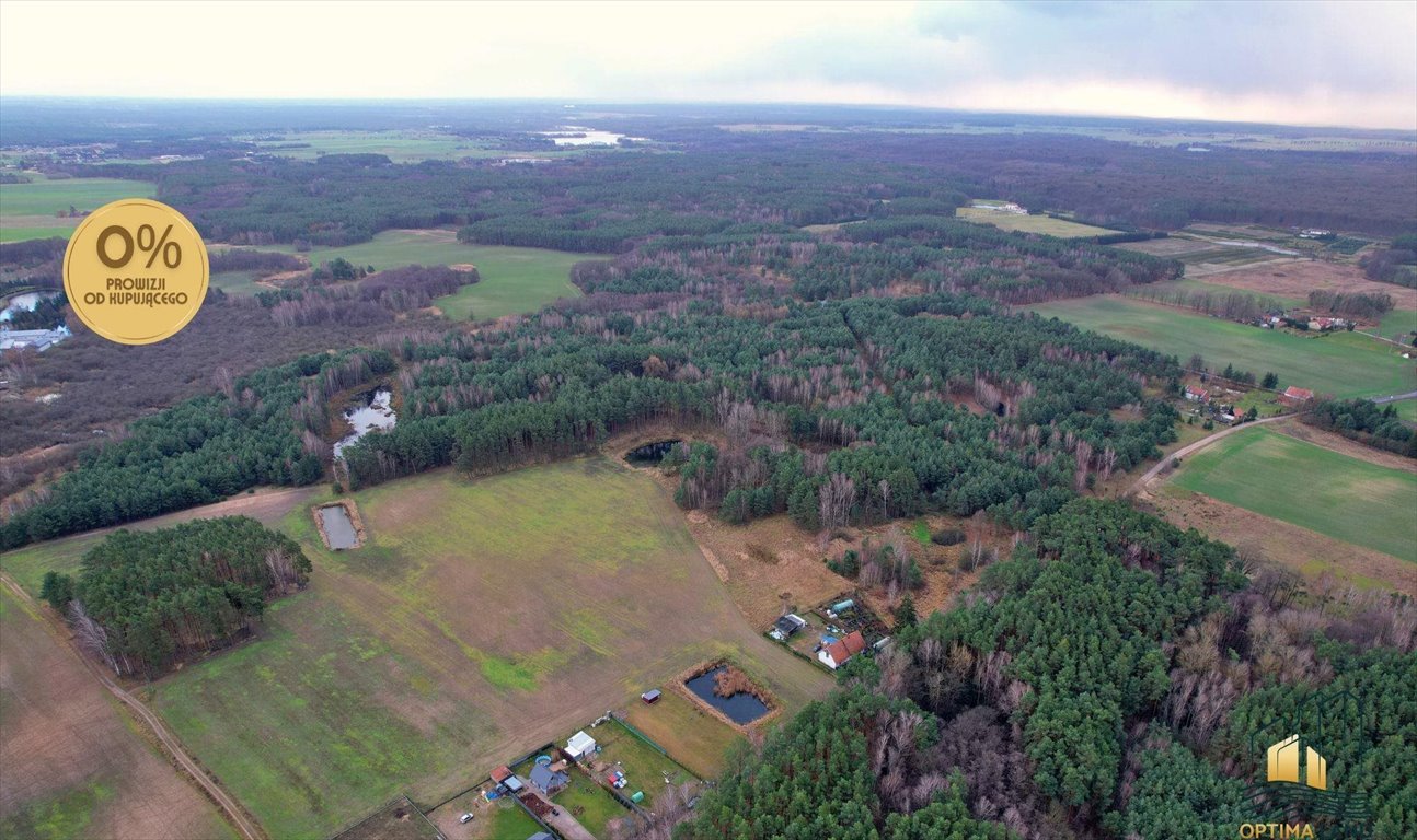 Działka gospodarstwo rolne na sprzedaż Potrzanowo  67 079m2 Foto 2