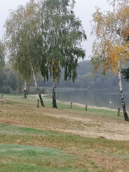 Działka rekreacyjna pod dzierżawę Niewiesze, Sosnowa  235m2 Foto 1