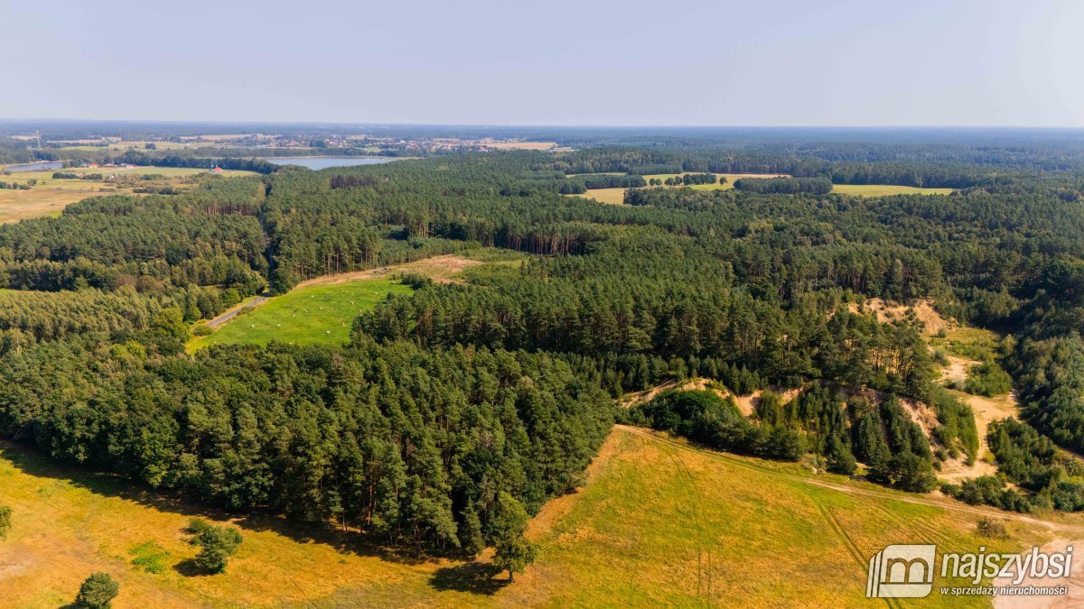 Dom na sprzedaż Miodowice  180 400m2 Foto 15