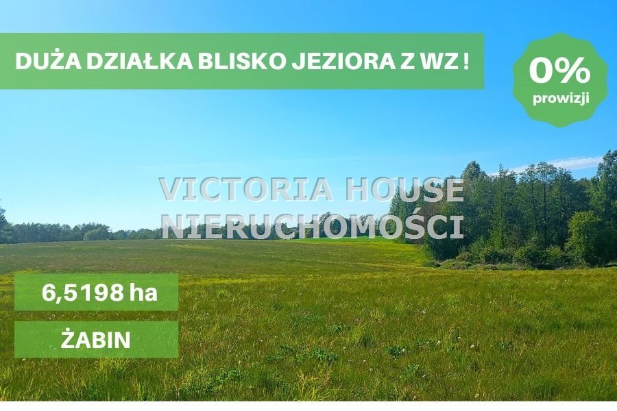 Duża działka z warunkami zabudowy i widokiem na jezioro Żabin  65 193m2 Foto 1