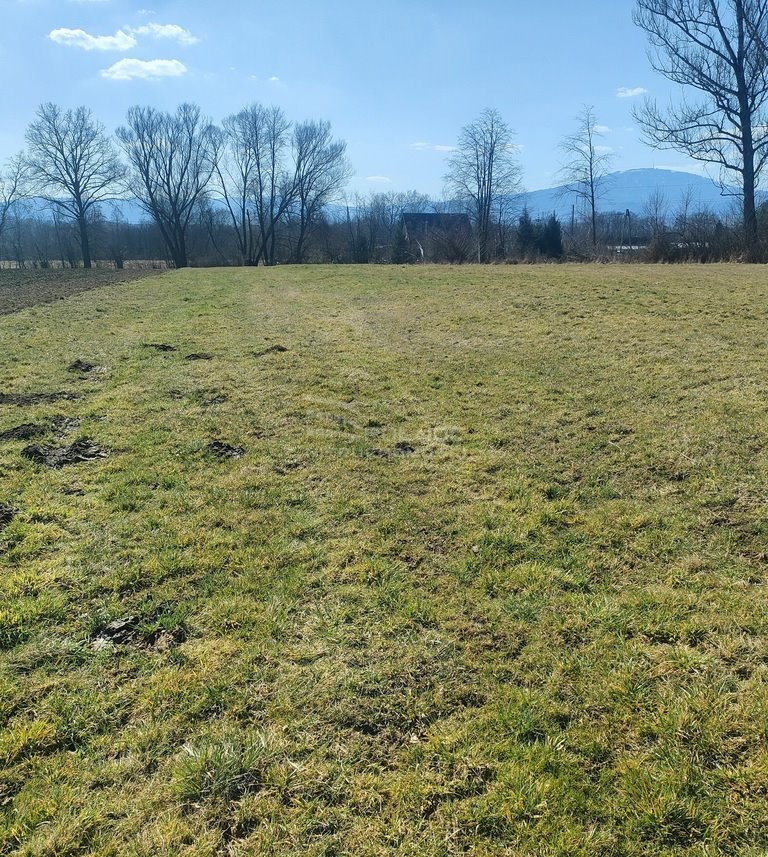 Działka inna na sprzedaż Zarzecze, Spokojna  3 426m2 Foto 3