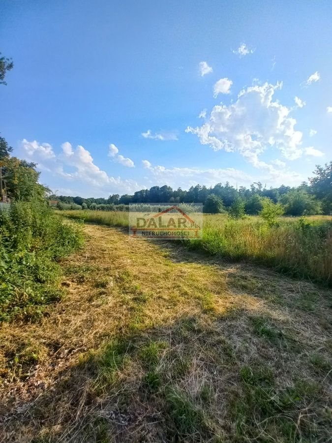 Działka rolna na sprzedaż Czersk, Tatary  18 200m2 Foto 3