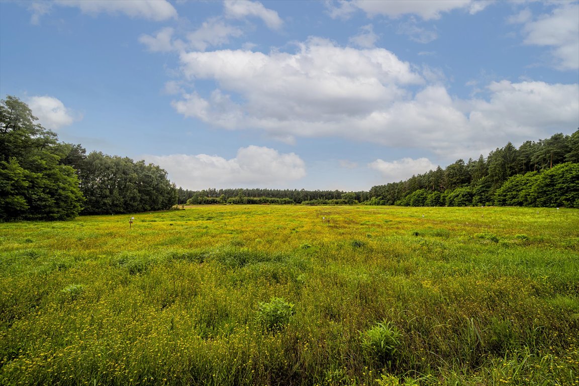 Działka budowlana na sprzedaż Ossa, Działka otoczona lasem 50 min od Warszawy!  500m2 Foto 6