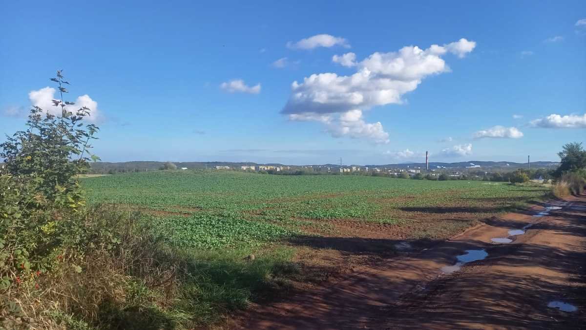 Działka inna na sprzedaż Szczawno-Zdrój  1 600m2 Foto 3