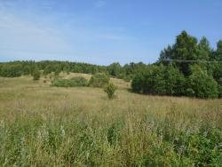 Działka 16 079 m² z fundamentami - inwestycyjna okazja. Galwiecie  16 079m2 Foto 1