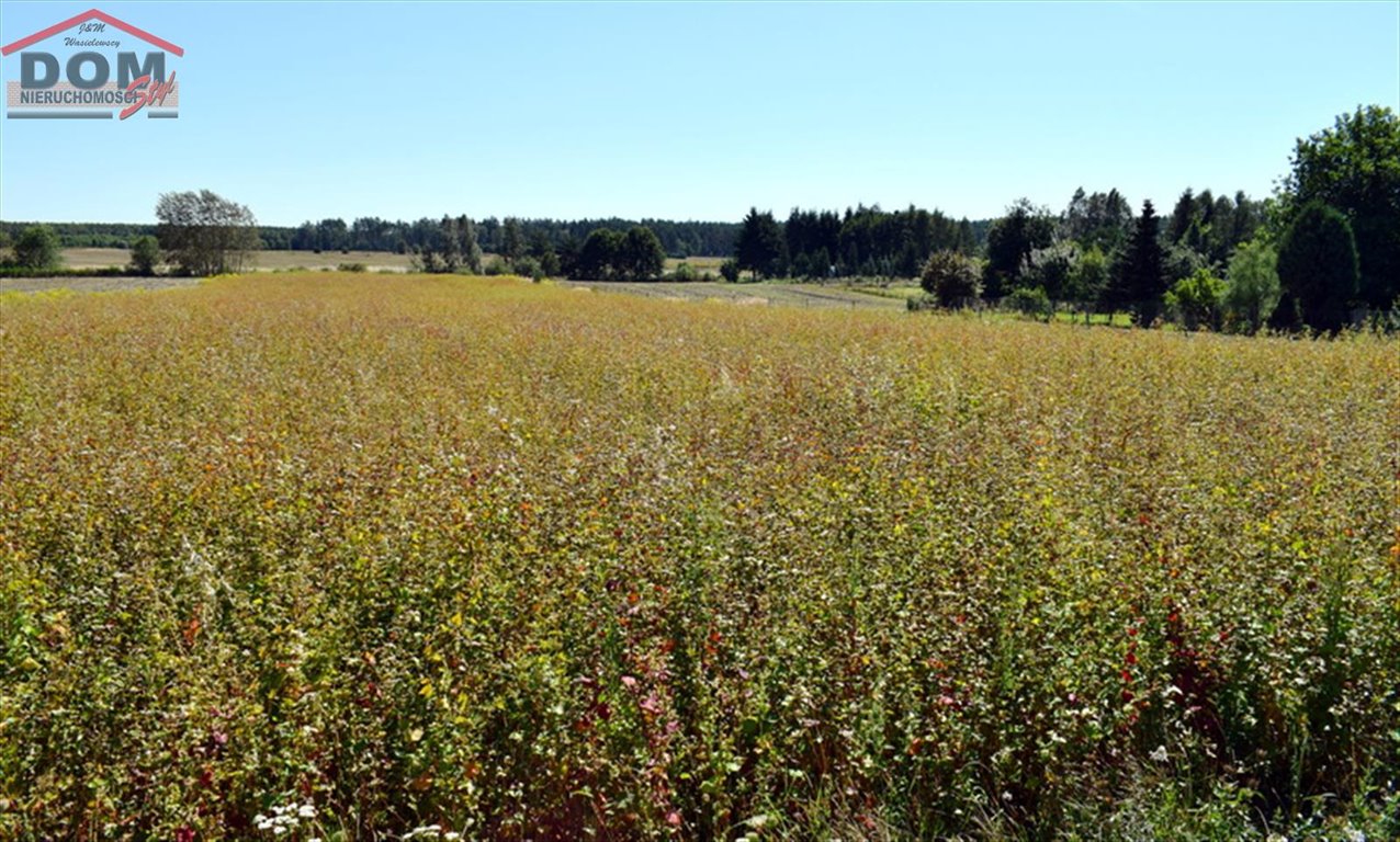 Działka inna na sprzedaż Wierzchowo, Długa  6 996m2 Foto 11